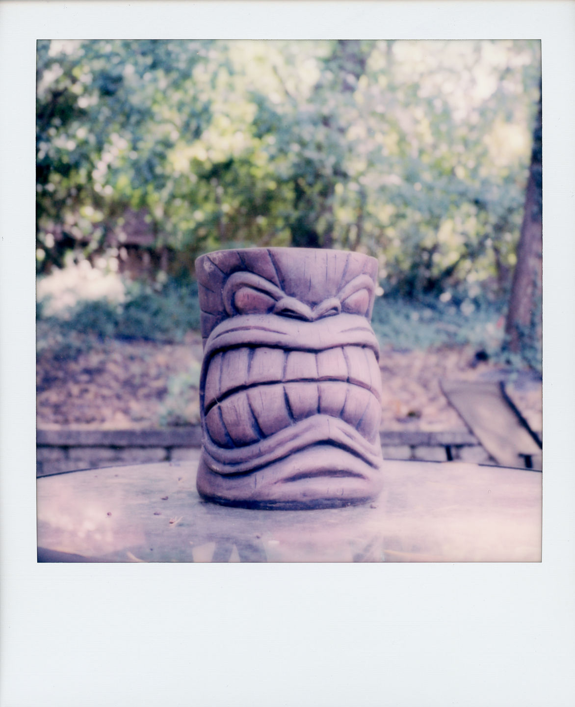 Customer photo review of Polaroid SX-70 Sonar Autofocus Black Folding Instant Film Camera