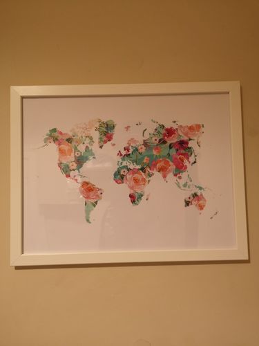 Customer photo review of Poster Mural Carte du Monde Fleurs