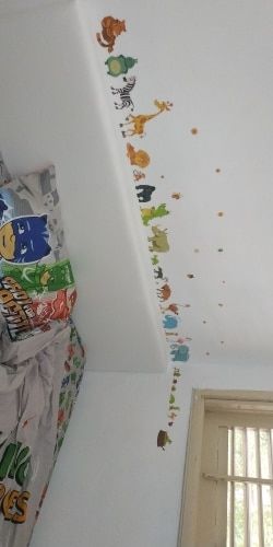 Customer photo review of Sticker Animaux Savane