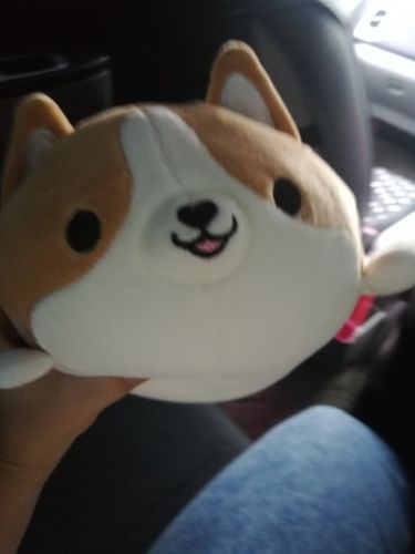 squishy corgi pillow