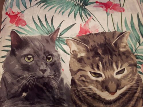 Customer photo review of Custom Pet Fleece Blanket