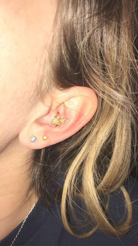 Customer photo review of Sparkling Butterfly Paved Gem Butterfly Cartilage RIng