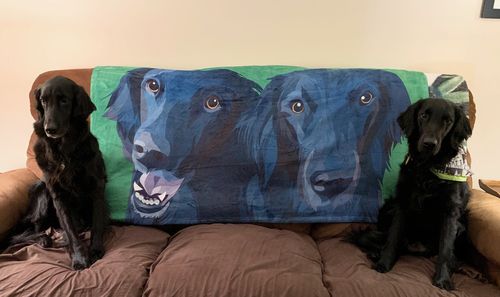 Customer photo review of Custom Pet Fleece Blanket