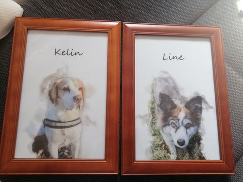 Customer photo review of Individuelles Haustierporträt - Posterdruck