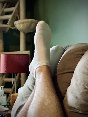 Customer photo review of J.B. Field's Bamboo Cushion Sole 1/4 Low-cut Sock (2 Pairs)