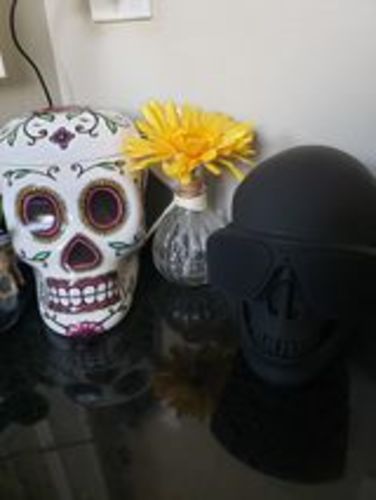 Customer photo review of Just Love Skulls Speaker