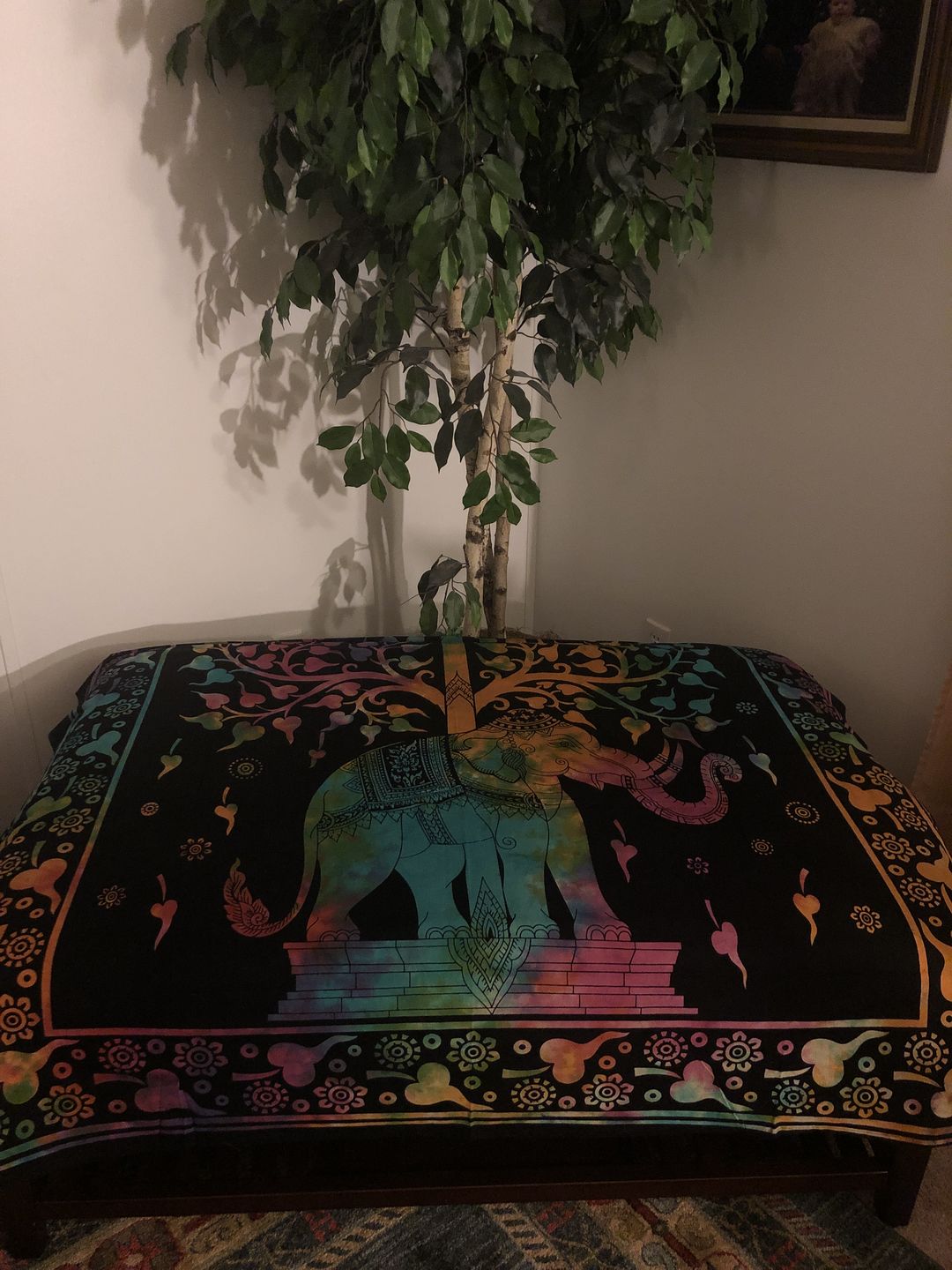 Customer photo review of Indian Dreams Tie Dye Tapestry