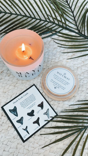 Customer photo review of Original Shark Tooth Candle