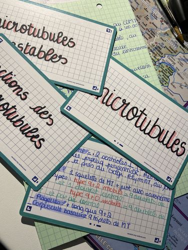 Avis photo d'un client sur Flashcards FLASH 2.0 OXFORD # 80 cartes 7,5 x 12,5 cm - petits carreaux