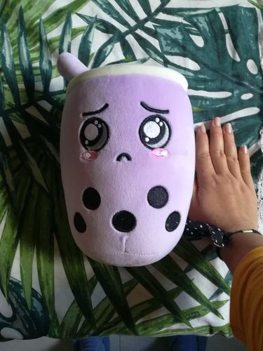 Customer photo review of Boba Buddies