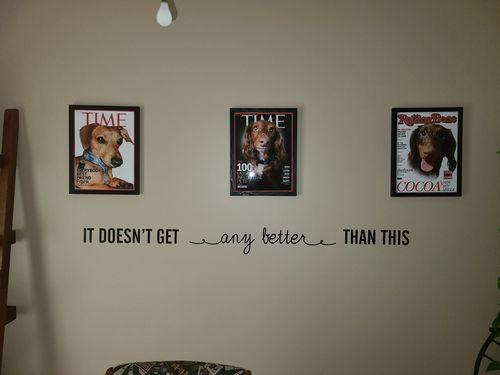 Customer photo review of Posing Pig Custom Print