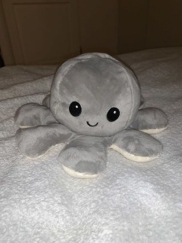 Customer photo review of Moody Octopus Plush