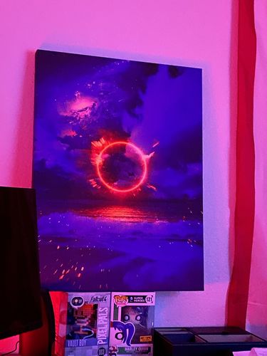 Customer photo review of Eclipse Canvas Set
