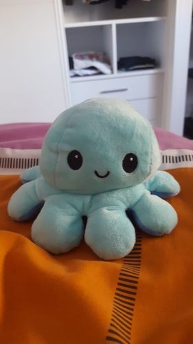 Customer photo review of Moody Octopus Plush