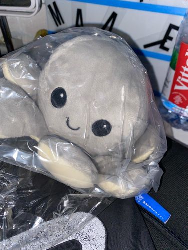 Customer photo review of Moody Octopus Plush