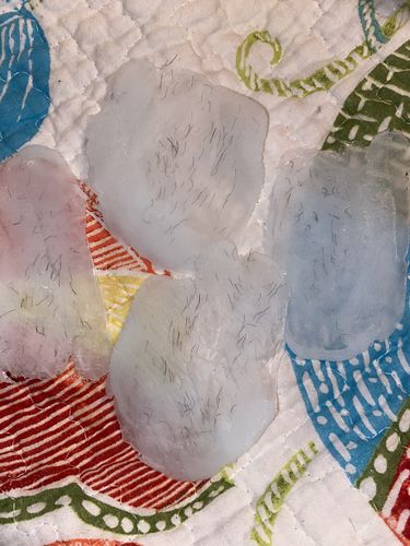 Customer photo review of At-Home Hard Wax Combos | Signature Series