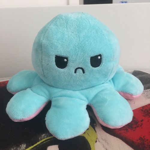 Customer photo review of Moody Octopus Plush