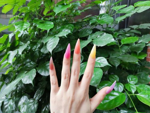 Customer photo review of Pink & Bling Poly Nail Extension Gel Kit