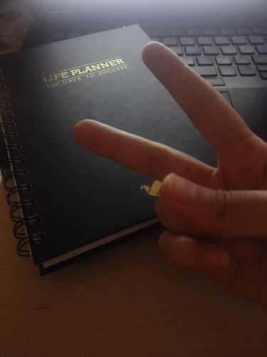 Customer photo review of LIFE PLANNER