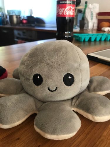 Customer photo review of Moody Octopus Plush