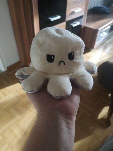 Customer photo review of Moody Octopus Plush