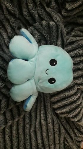 Customer photo review of Moody Octopus Plush