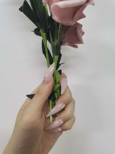 Customer photo review of The Seasonal Concertos 16 Color Nail Extension Gel Kit