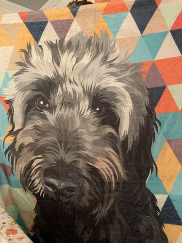 Customer photo review of Custom Pet Fleece Blanket