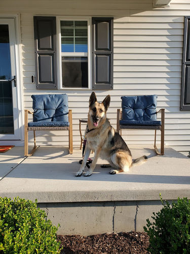 Customer photo review of 3 Pieces  Woodgrain Rocking Chairs Bistro Set