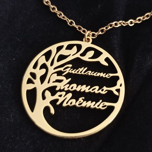 Customer photo review of Mon meilleur cadeau ©  : Collier Arbre de Vie Unisex Personnalisé