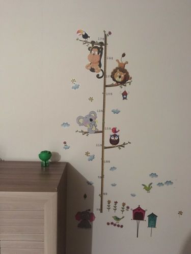 Customer photo review of Toise Animaux De La Jungle <br/>Éléphant