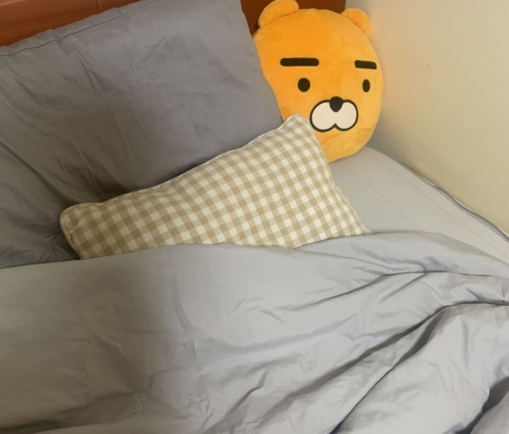 Customer photo review of Mong Sil Pillow #Hyunbin's Choice