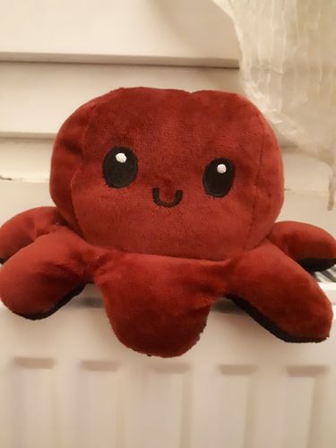 Customer photo review of Peluche octopus réversible