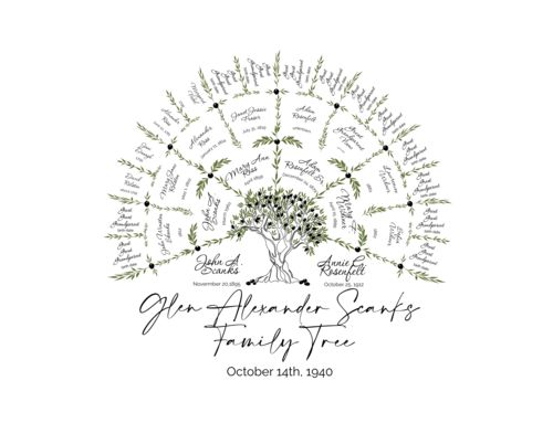 Customer photo review of Olive Family Tree Medium