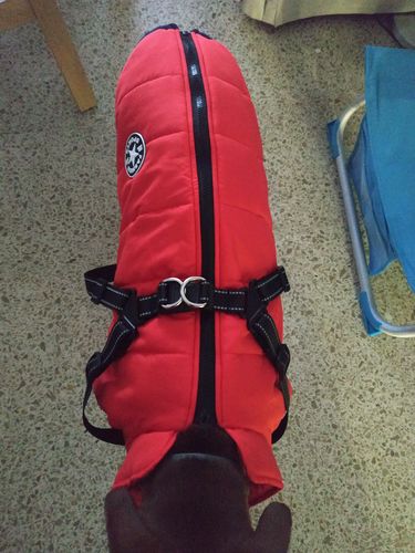 Customer photo review of Petyfy ™ Winter Jacket