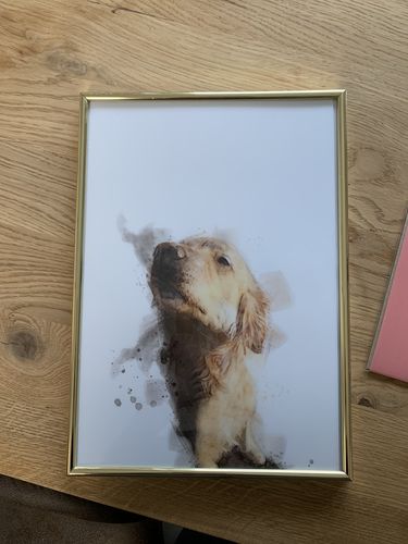 Customer photo review of Individuelles Haustierporträt - Posterdruck