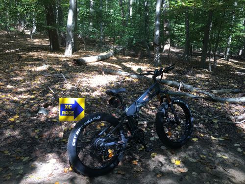 Customer photo review of 2025 Wallke X3 Max Folding 2800W Electric Bike
