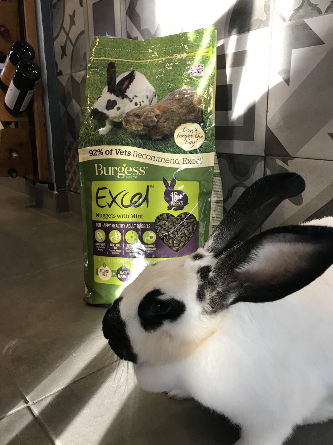 Customer photo review of Burgess Excel Adult Rabbit Nuggets With Mint (Mais opções disponiveis)