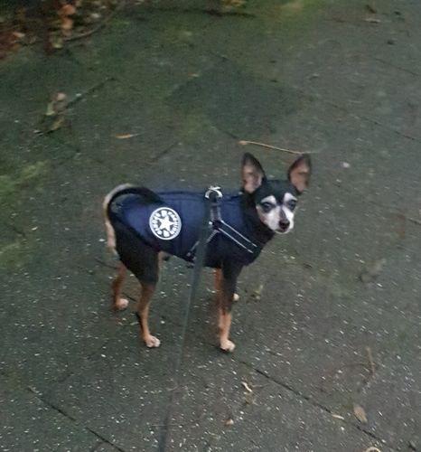 Customer photo review of Petyfy ™ Winter Jacket