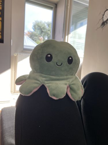 Customer photo review of Peluche octopus réversible