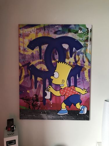Customer photo review of Tableau Bart Coco