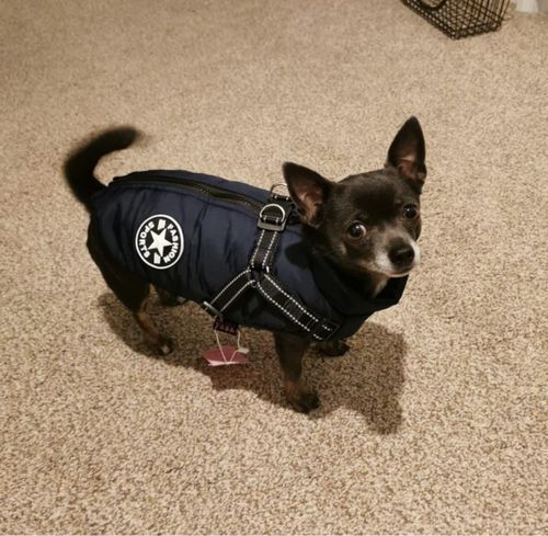 Customer photo review of Petyfy ™ Winter Jacket