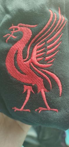 Customer photo review of Liver Bird Liverpool T-Shirt