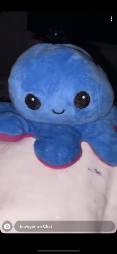 Customer photo review of Peluche octopus réversible
