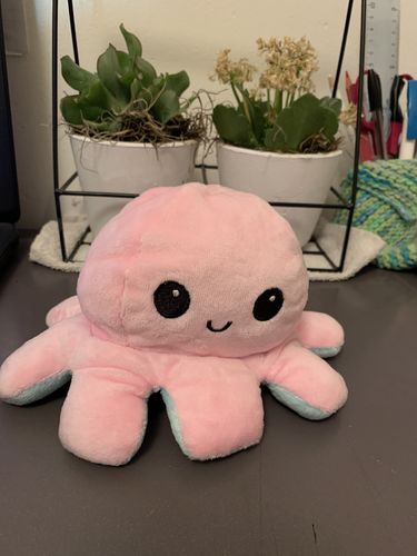 Customer photo review of Peluche octopus réversible
