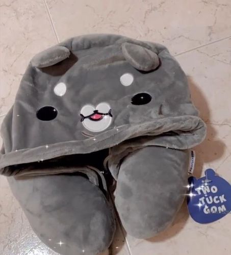 Customer photo review of TWOTUCKGOM - Hooded Neck Pillow