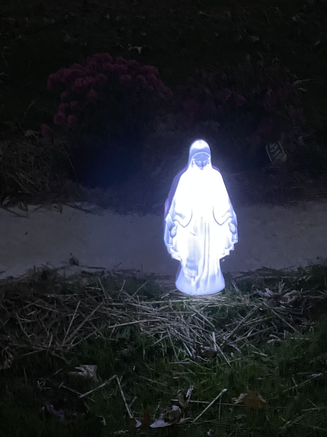 Customer photo review of Eternal Light Blessed Mary