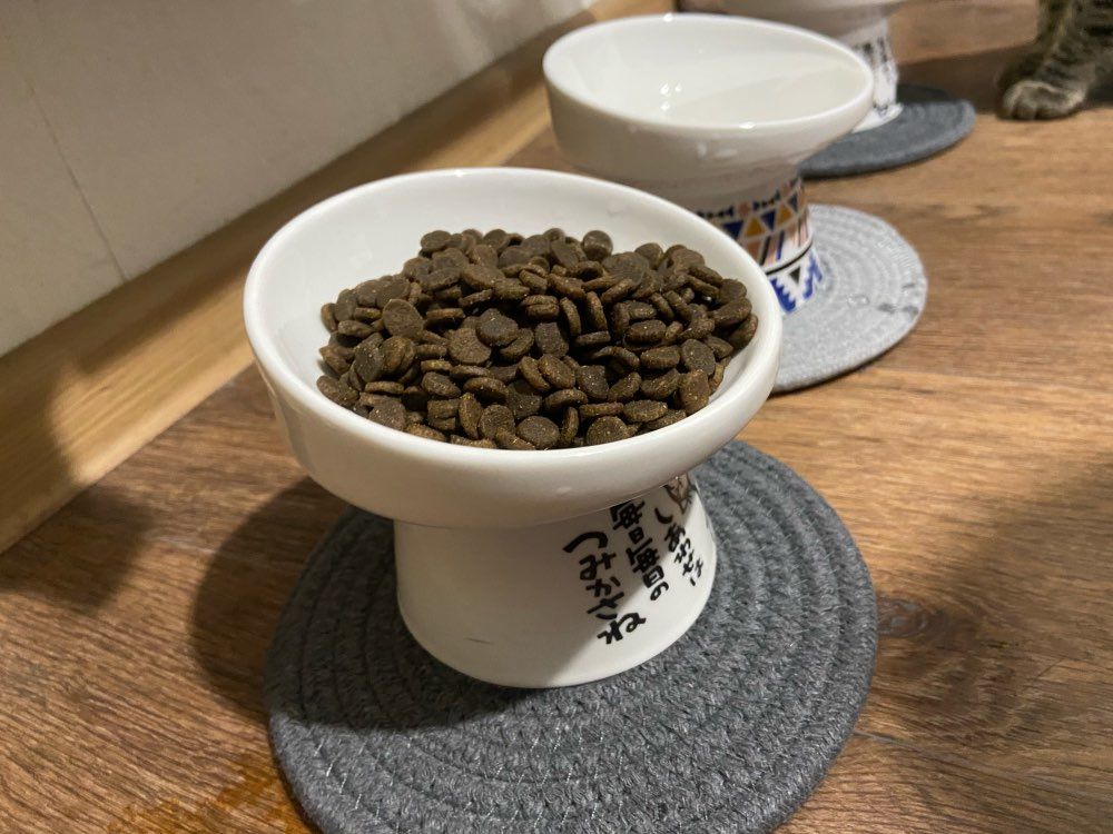 Customer photo review of Neko Raised Bowls