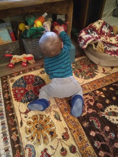 itsy bitsy bug boutique