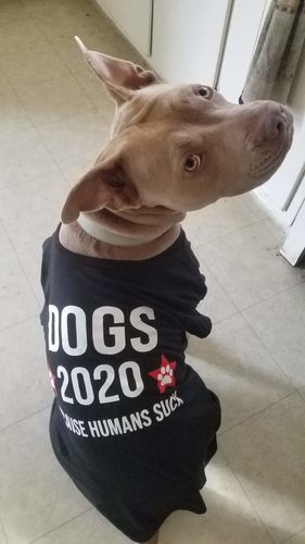 Customer photo review of Dogs For 2020 Classic Comfy T Shirt